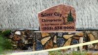 Dr. Scott Robertson Silver City Chiropractic