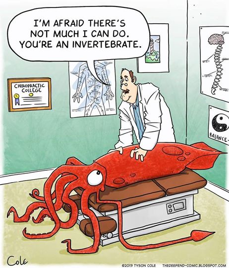 More Chiropractic Humor